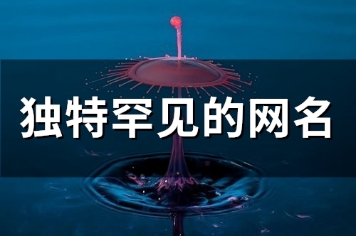 独特罕见的网名(116个) 独特罕见的网名(116个)