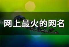网上最火的网名(精选83个)