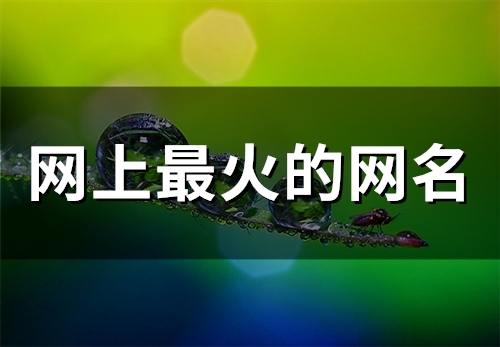 网上最火的网名(精选83个)
