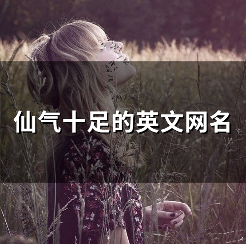 仙气十足的英文网名(132个)