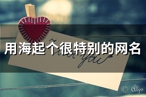 用海起个很特别的网名(92个)