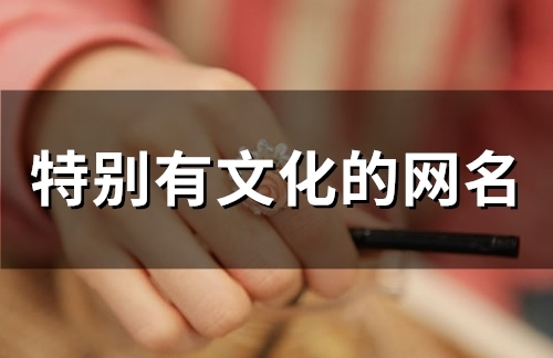 特别有文化的网名(97个)