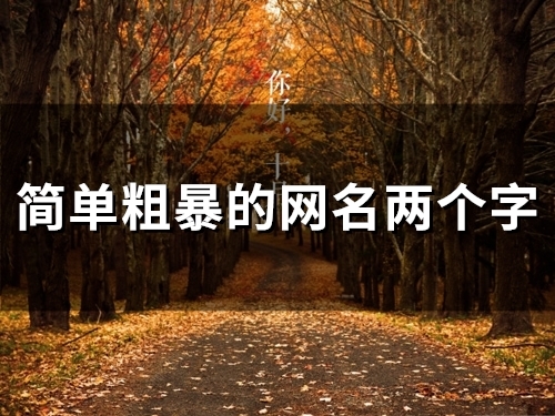 简单粗暴的网名两个字(精选97个) 简单粗暴的网名两个字(精选97个)