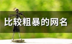 比较粗暴的网名(精选146个)