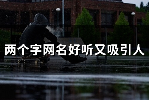两个字网名好听又吸引人(精选135个)