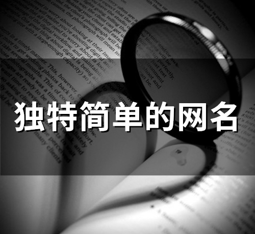 独特简单的网名(148个)