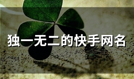 独一无二的快手网名(精选156个)