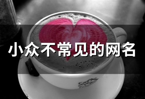 小众不常见的网名(精选154个)