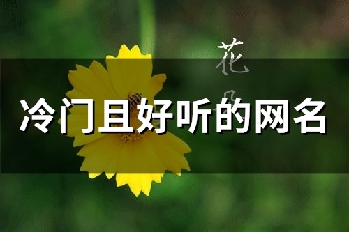 冷门且好听的网名(精选96个)