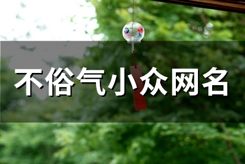 不俗气小众网名(精选115个) 不俗气小众网名(精选115个)