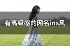 有高级感的网名ins风(精选157个)