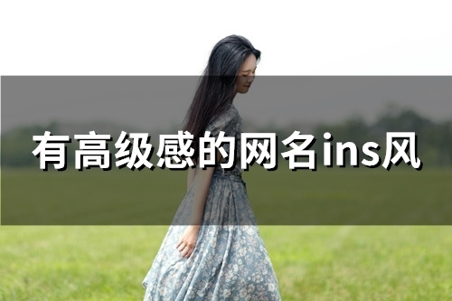 有高级感的网名ins风(精选157个)