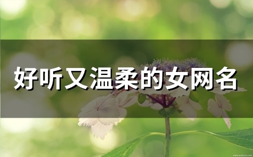 好听又温柔的女网名(100个)