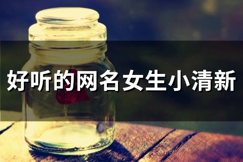 好听的网名女生小清新(精选84个)