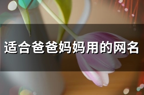 适合爸爸妈妈用的网名(101个) 适合爸爸妈妈用的网名(101个)