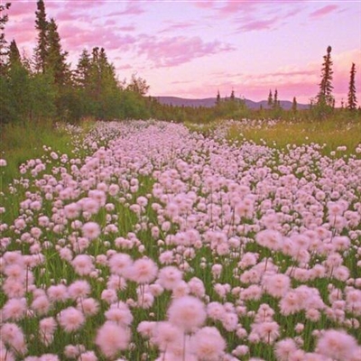 世界上最美的头像风景(精选18张)