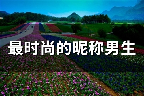 最时尚的昵称男生(精选94个) 最时尚的昵称男生(精选94个)