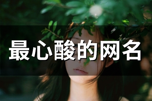最心酸的网名(101个)