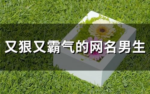 又狠又霸气的网名男生(156个)