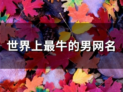 世界上最牛的男网名(精选144个)