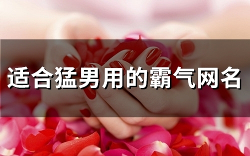 适合猛男用的霸气网名(精选125个)