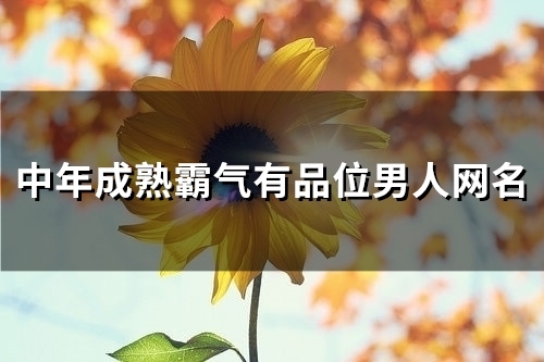 中年成熟霸气有品位男人网名(110个) 中年成熟霸气有品位男人网名(110个)