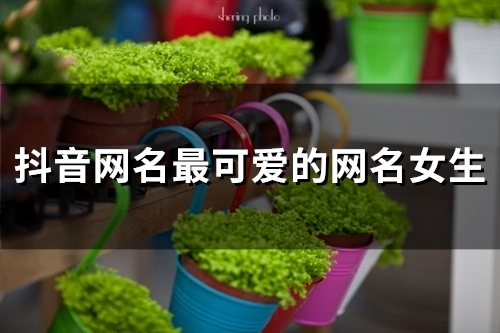 抖音网名最可爱的网名女生(131个) 抖音网名最可爱的网名女生(131个)