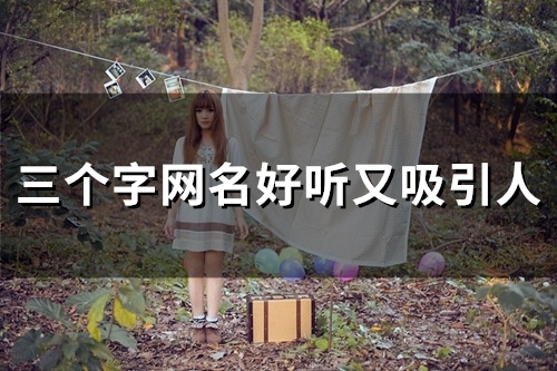 三个字网名好听又吸引人(102个) 三个字网名好听又吸引人(102个)