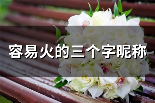 容易火的三个字昵称(134个) 容易火的三个字昵称(134个)