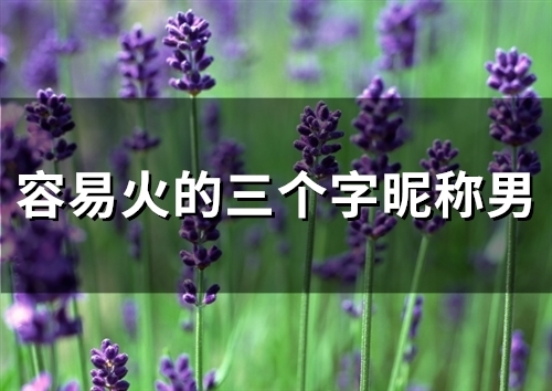 容易火的三个字昵称男(精选151个)