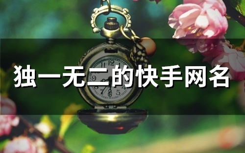 独一无二的快手网名(精选108个) 独一无二的快手网名(精选108个)