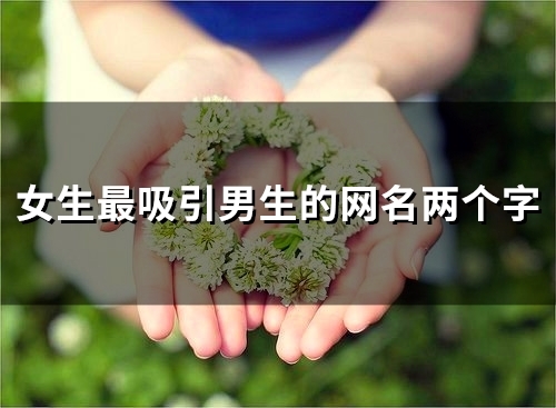 女生最吸引男生的网名两个字(精选75个) 女生最吸引男生的网名两个字(精选75个)