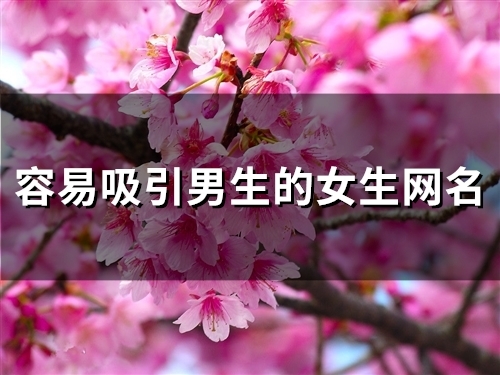 容易吸引男生的女生网名(精选149个)