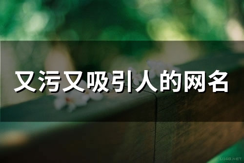 又污又吸引人的网名(精选91个)