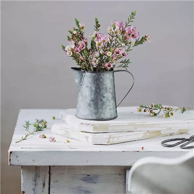 2023年最美的鲜花头像(精选12张)