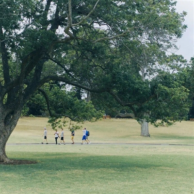 年轻的微信头像高清(14张)