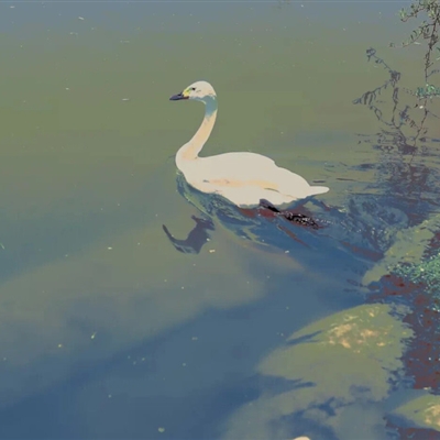 年轻的微信头像高清(14张)