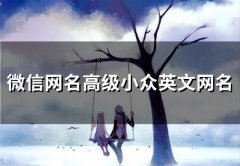 微信网名高级小众英文网名(精选64个)