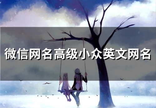 微信网名高级小众英文网名(精选64个)