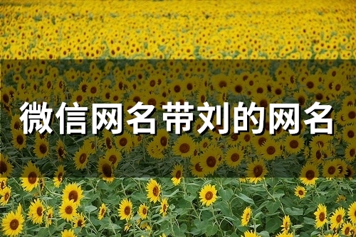 微信网名带刘的网名(83个) 微信网名带刘的网名(83个)