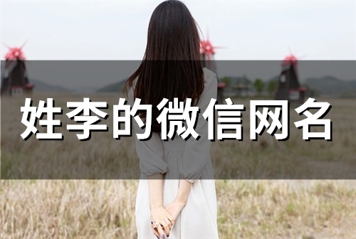 姓李的微信网名(88个)