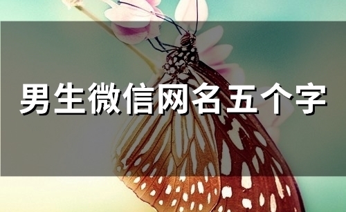 男生微信网名五个字(138个)