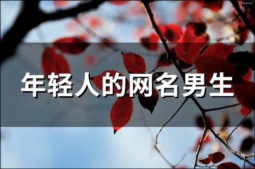 年轻人的网名男生(78个)