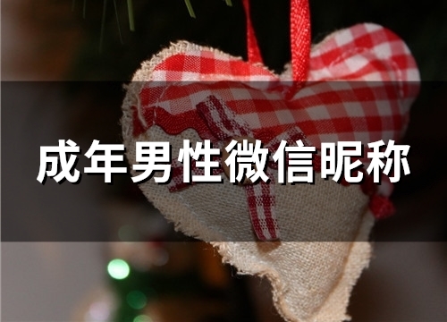 成年男性微信昵称(精选150个)