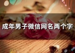 成年男子微信网名两个字(156个)