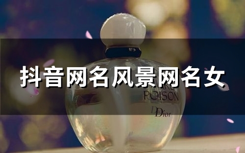 抖音网名风景网名女(95个)