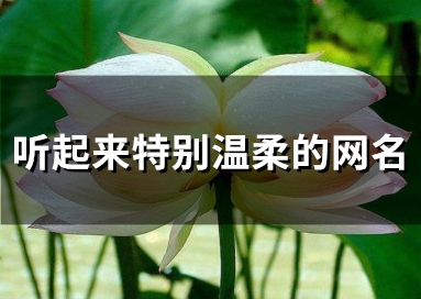 听起来特别温柔的网名(87个)