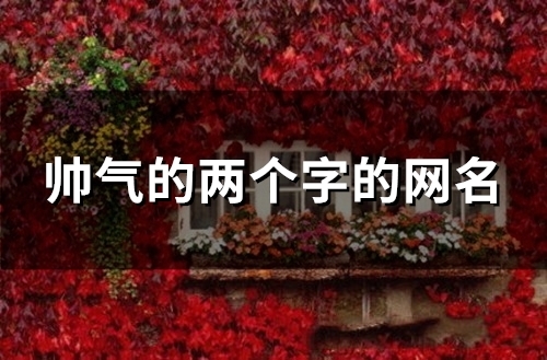 帅气的两个字的网名(125个) 帅气的两个字的网名(125个)