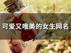可爱又唯美的女生网名(102个)