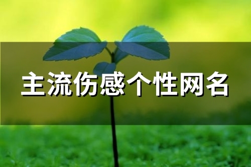 主流伤感个性网名(精选89个) 主流伤感个性网名(精选89个)